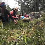 Bastukleven, I Hamnsundets Skärgårds Idyll * Saltvik